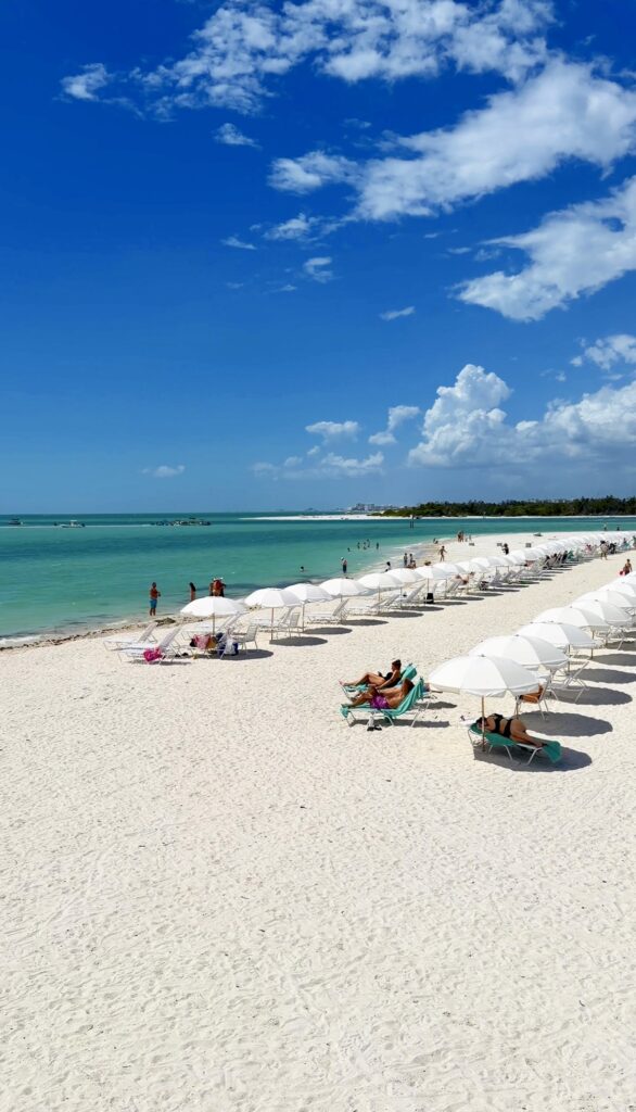 complimentary chairs and umbrellas at the hyatt regency conocnut point 